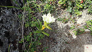 p8190433_thumb.jpg