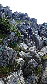 p8190441_thumb.jpg