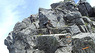 p8190468.mov_thumb.jpg