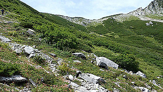 p8190479_thumb.jpg