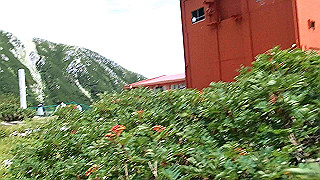 p8190481.mov_thumb.jpg