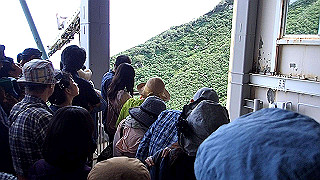 p8190487.mov_thumb.jpg