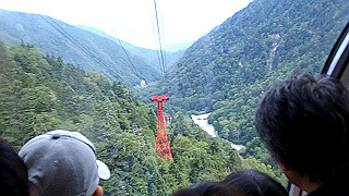p8190493.mov_thumb.jpg