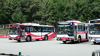 p8190497_thumb.jpg