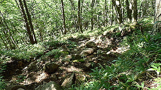 p8200526_thumb.jpg