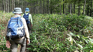 p8200529_thumb.jpg