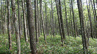 p8200530_thumb.jpg