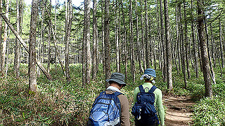 p8200531_thumb.jpg
