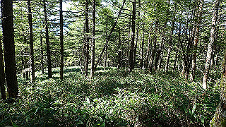p8200533_thumb.jpg
