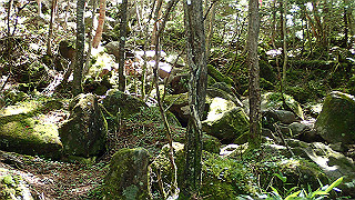 p8200534_thumb.jpg