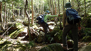 p8200535_thumb.jpg