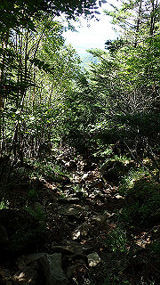 p8200536_thumb.jpg