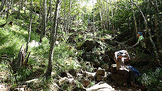 p8200537_thumb.jpg