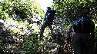 p8200538_thumb.jpg