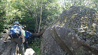 p8200541_thumb.jpg