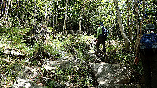 p8200542_thumb.jpg