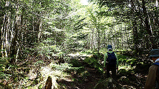 p8200550_thumb.jpg
