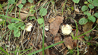 p8200552_thumb.jpg