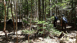 p8200553_thumb.jpg