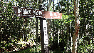 p8200554_thumb.jpg