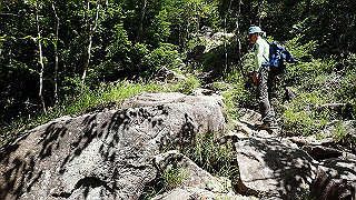 p8200555_thumb.jpg