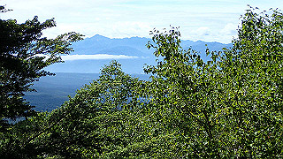 p8200556_thumb.jpg