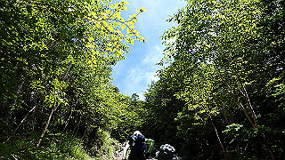 p8200563_thumb.jpg