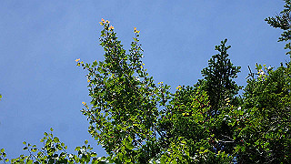 p8200564_thumb.jpg