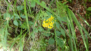 p8200567_thumb.jpg
