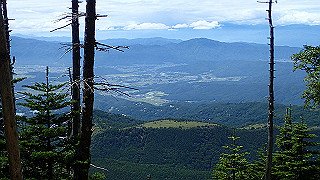 p8200568_thumb.jpg
