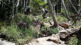 p8200569_thumb.jpg