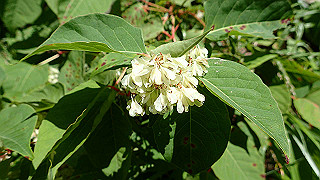 p8200571_thumb.jpg