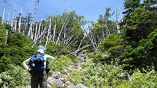 p8200574_thumb.jpg