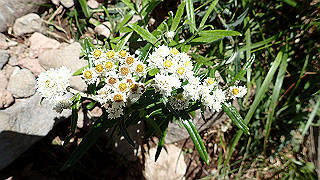 p8200575_thumb.jpg