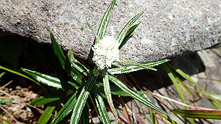 p8200576_thumb.jpg