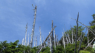 p8200577_thumb.jpg
