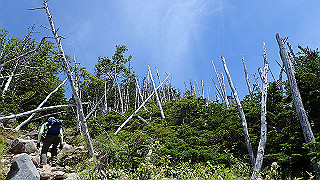 p8200578_thumb.jpg
