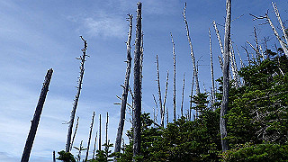 p8200579_thumb.jpg