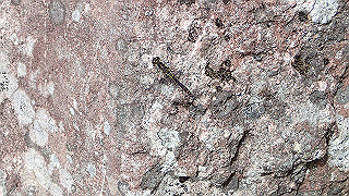 p8200582_thumb.jpg