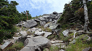 p8200583_thumb.jpg
