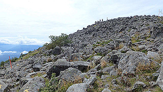 p8200595_thumb.jpg