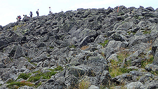 p8200596_thumb.jpg