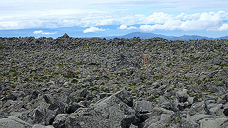 p8200603_thumb.jpg