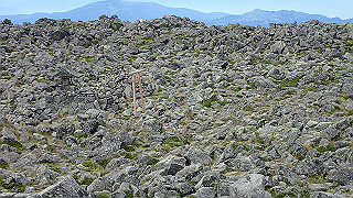 p8200604_thumb.jpg