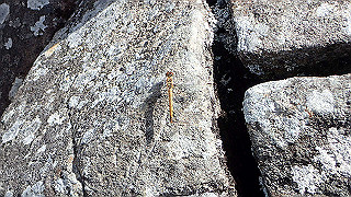 p8200612_thumb.jpg