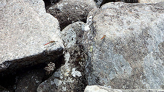 p8200620_thumb.jpg