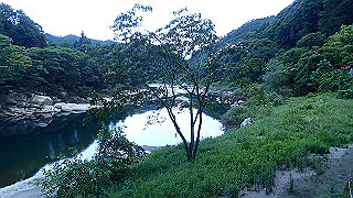 p8200638_thumb.jpg