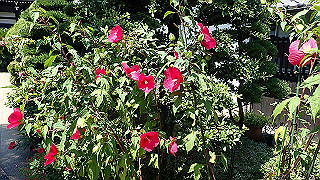 p8290679_thumb.jpg