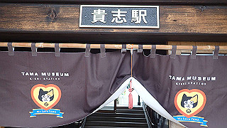 pa160846_thumb.jpg