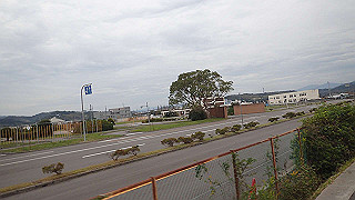 pa160865_thumb.jpg
